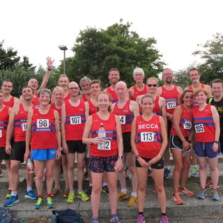 Dulwich Runners logo