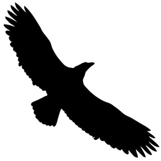 Ealing Eagles logo