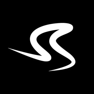 SOCIAL SPORTS CLUB Dresden logo